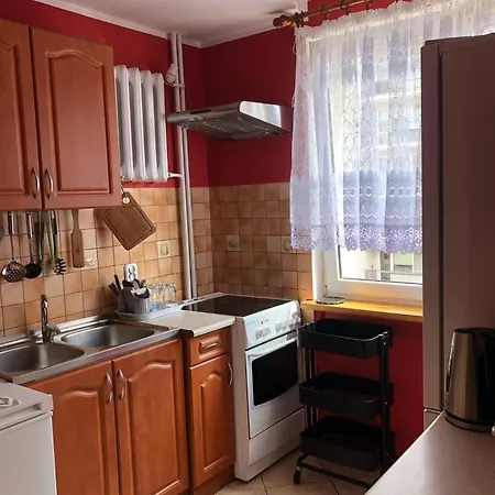 Mieszkanie Do Wynajecia W Centrum *