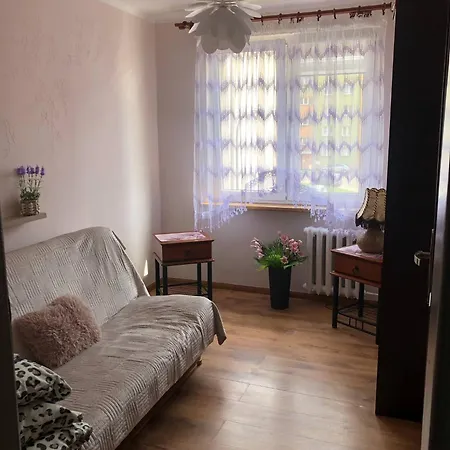 Mieszkanie Do Wynajecia W Centrum