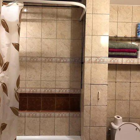 Mieszkanie Do Wynajecia W Centrum 公寓 *