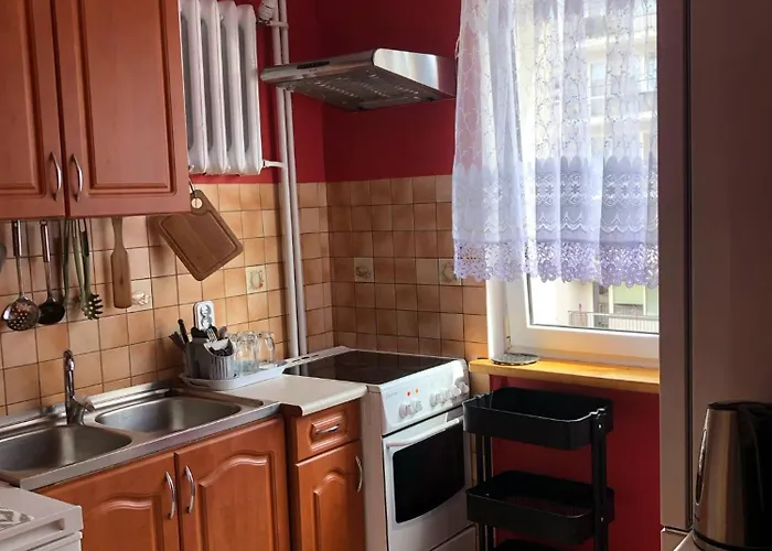 Mieszkanie Do Wynajęcia W Centrum *