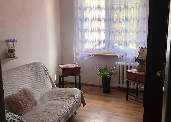 Mieszkanie Do Wynajęcia W Centrum