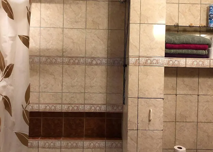 Mieszkanie Do Wynajęcia W Centrum Apartament *